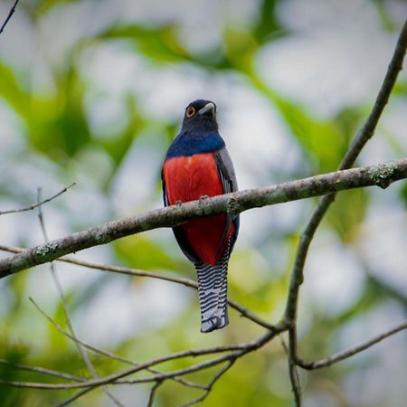 Shimiyacu Amazon Lodge Tarapoto Zewnętrze zdjęcie