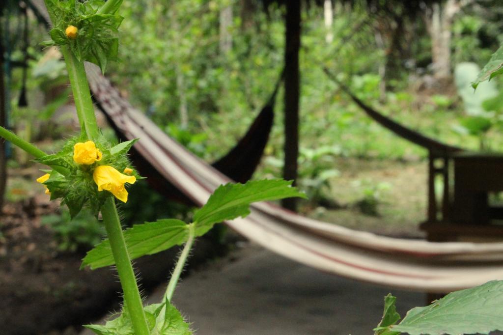 Shimiyacu Amazon Lodge Tarapoto Zewnętrze zdjęcie