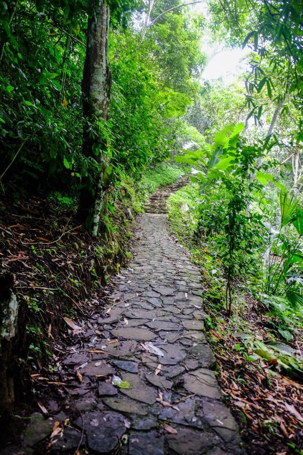 Shimiyacu Amazon Lodge Tarapoto Zewnętrze zdjęcie