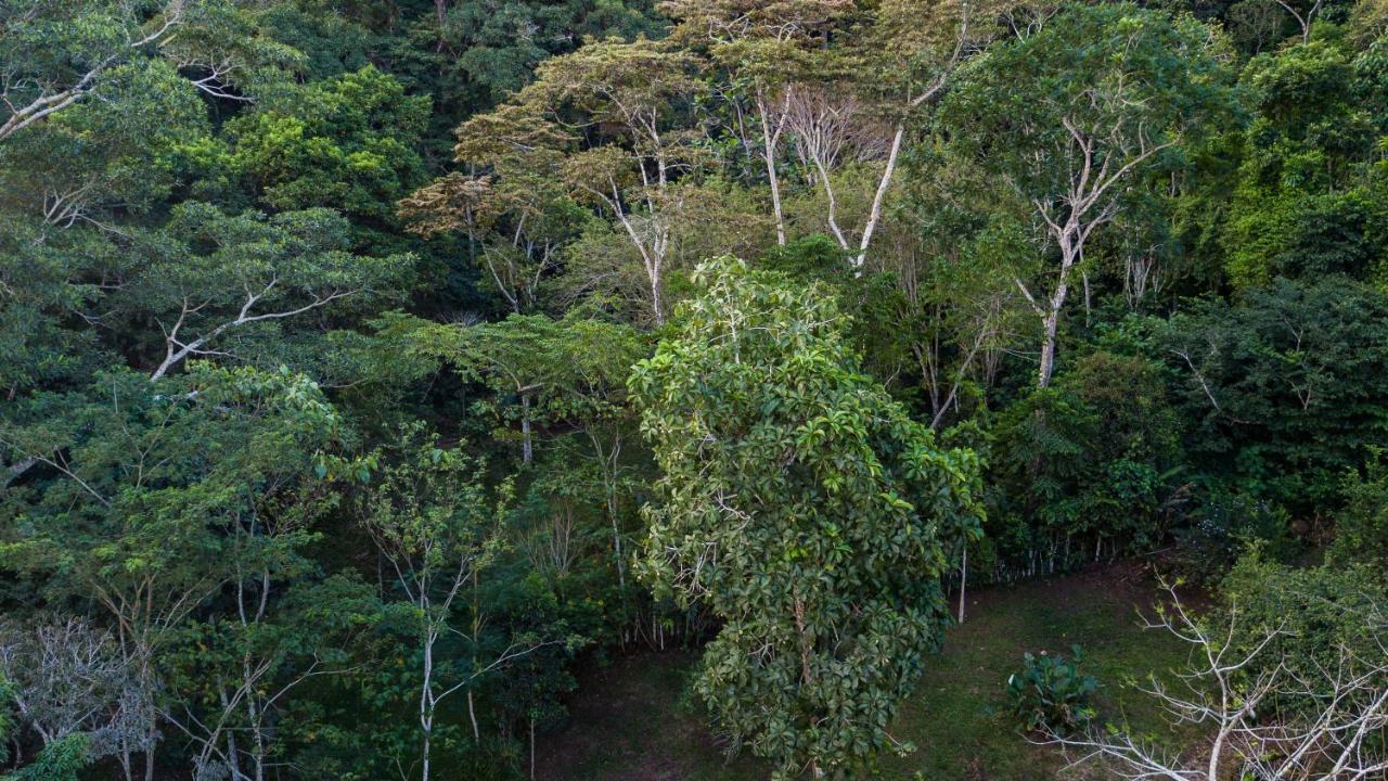Shimiyacu Amazon Lodge Tarapoto Zewnętrze zdjęcie