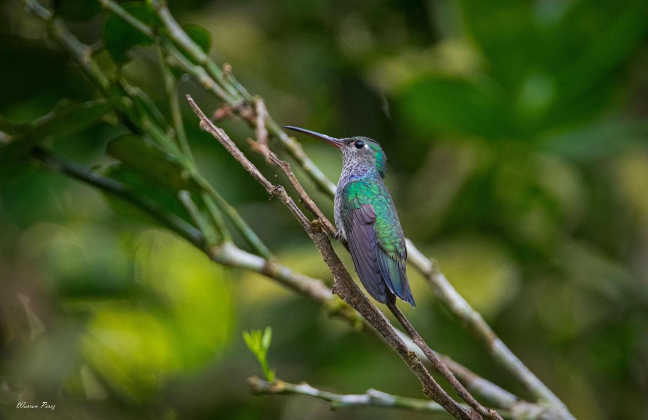 Shimiyacu Amazon Lodge Tarapoto Zewnętrze zdjęcie