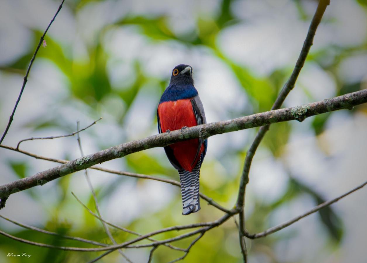 Shimiyacu Amazon Lodge Tarapoto Zewnętrze zdjęcie