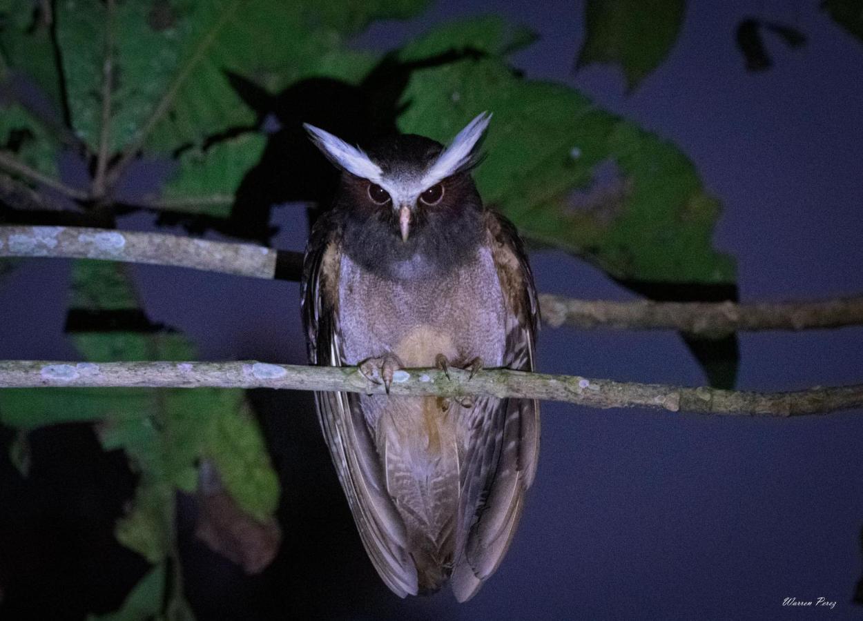 Shimiyacu Amazon Lodge Tarapoto Zewnętrze zdjęcie
